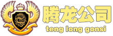 腾龙公司-腾龙线上负责人